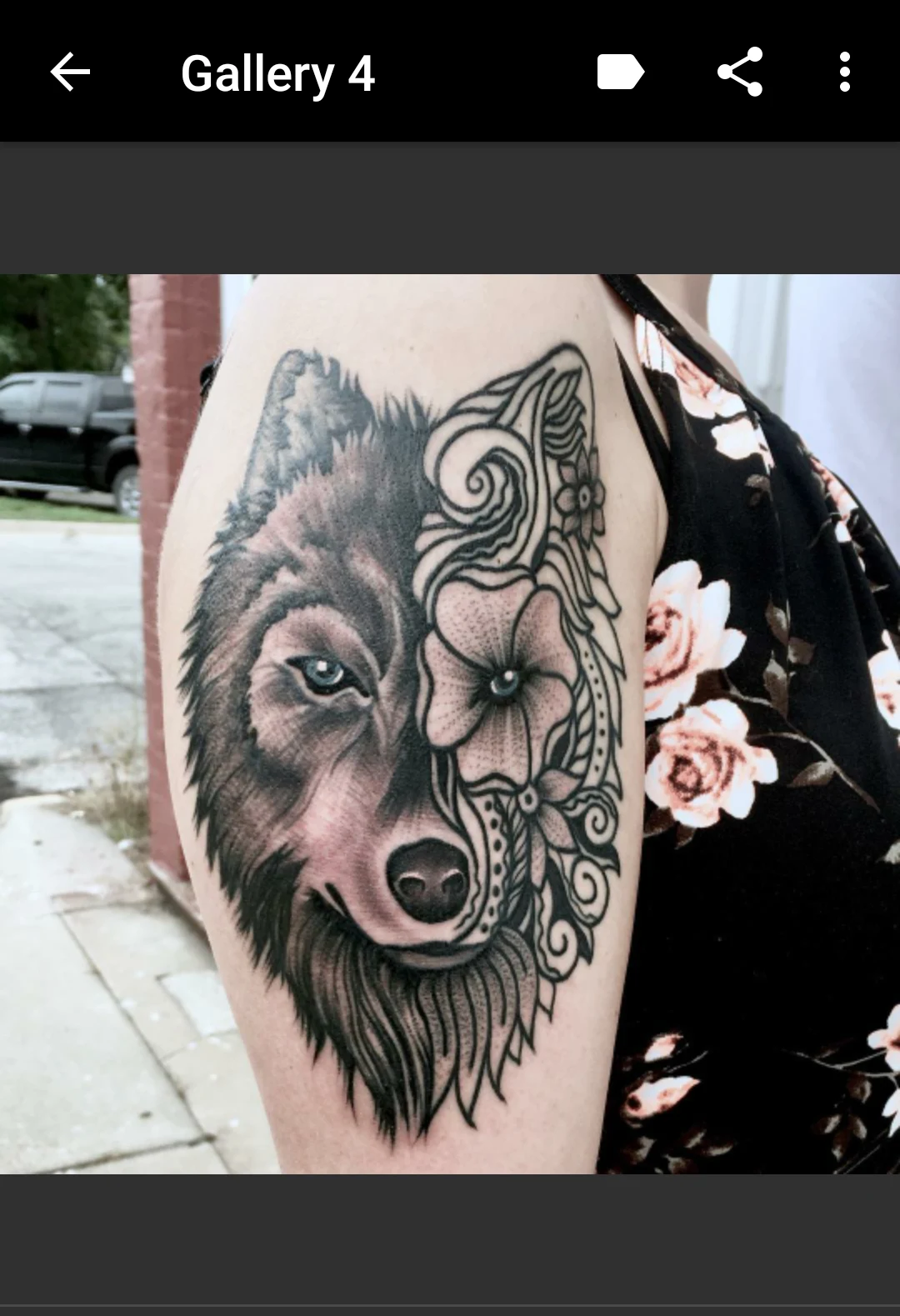 Wolf Tattoos screenshot